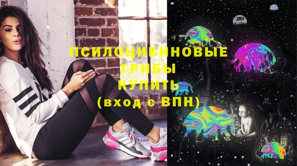 дживик Белокуриха
