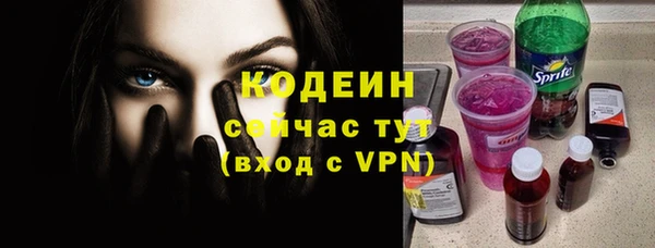 дживик Белокуриха