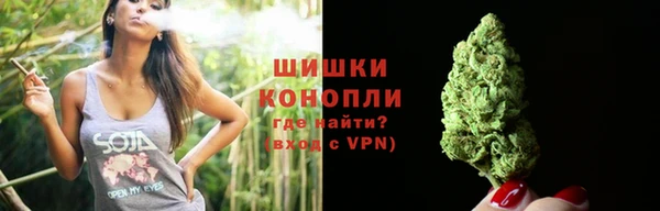 дживик Белокуриха