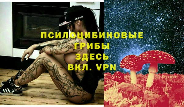 соль ск Белоозёрский