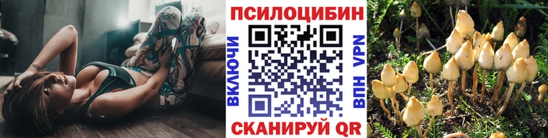 Псилоцибиновые грибы ЛСД Семикаракорск
